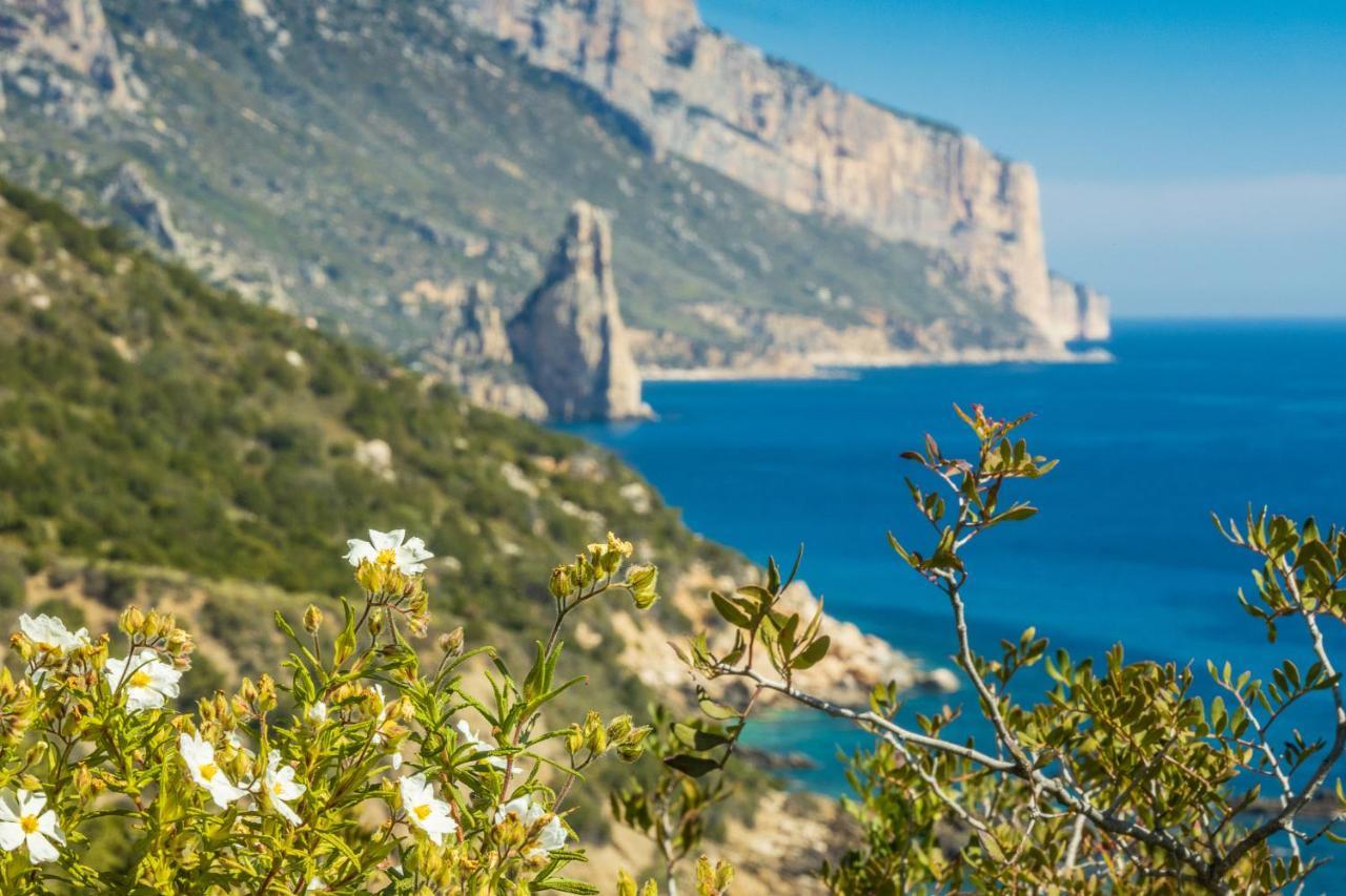 سانتا ماريا نافاريز Ostello Bellavista المظهر الخارجي الصورة