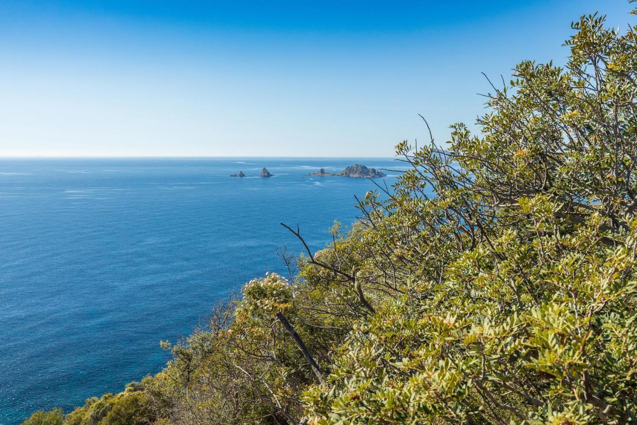 سانتا ماريا نافاريز Ostello Bellavista المظهر الخارجي الصورة