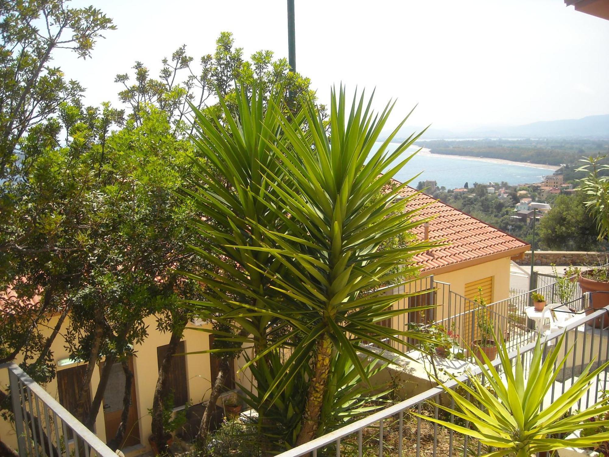 سانتا ماريا نافاريز Ostello Bellavista المظهر الخارجي الصورة