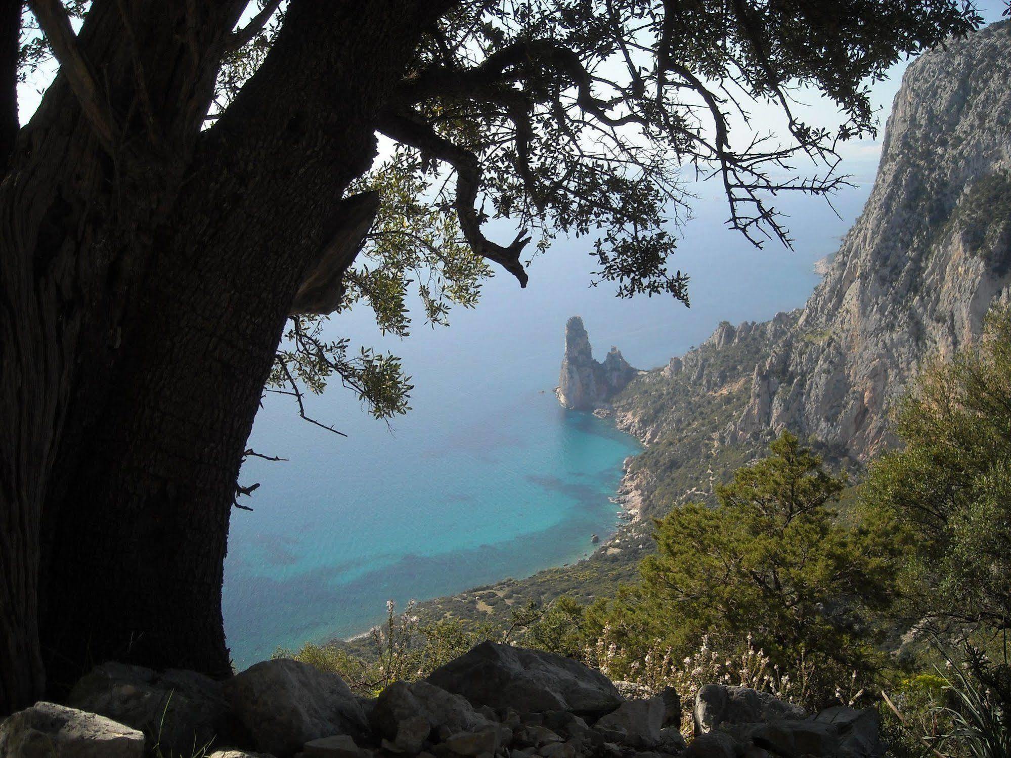 سانتا ماريا نافاريز Ostello Bellavista المظهر الخارجي الصورة